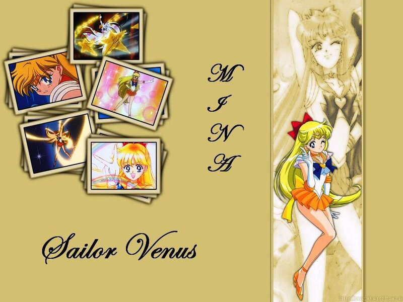 Sailor Venus collage