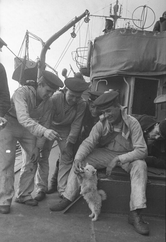 Sailors feeding a dog on ship