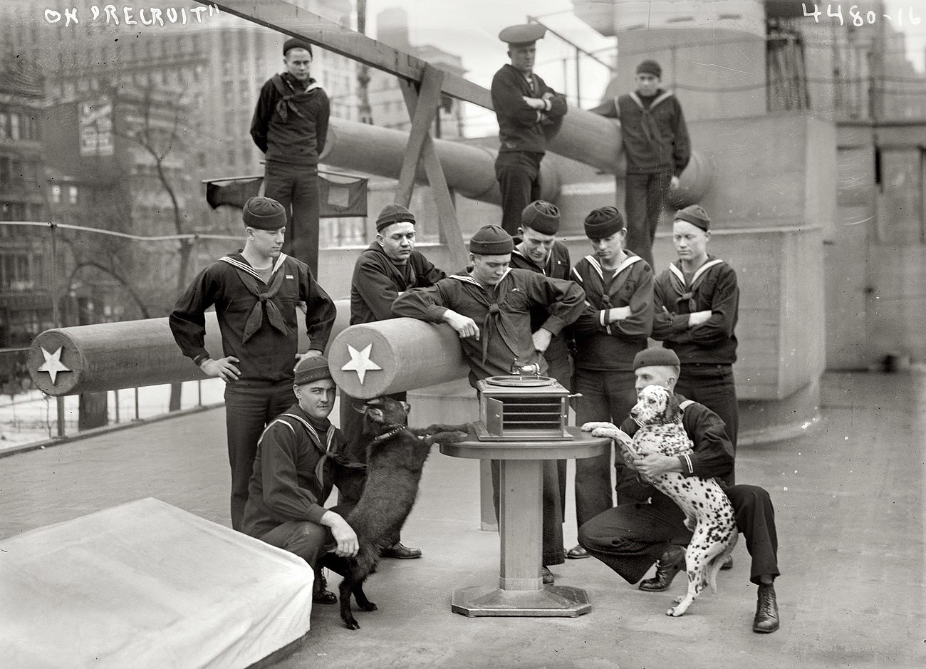 Sailors with dogs on ship deck