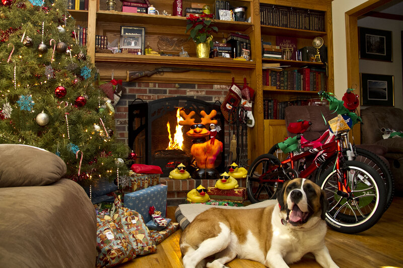 Saint Bernard Dog — Brown, Festive