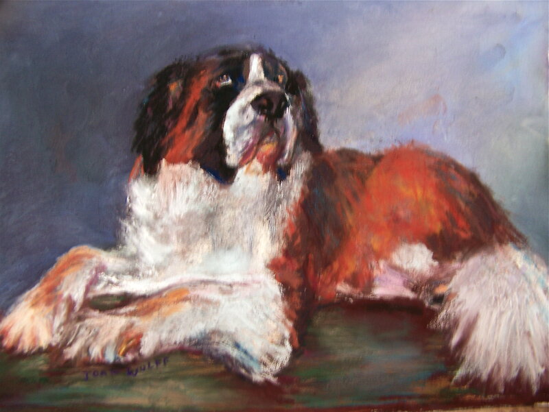 Saint Bernard dog portrait