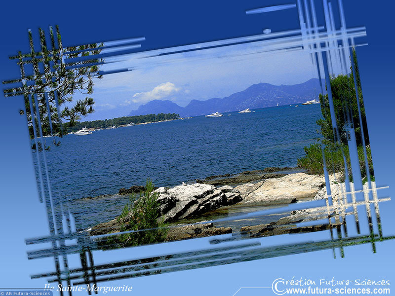 Sainte-Marguerite Island
