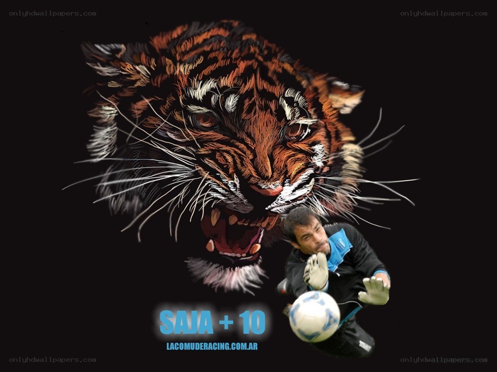 Saja +10 tiger artwork