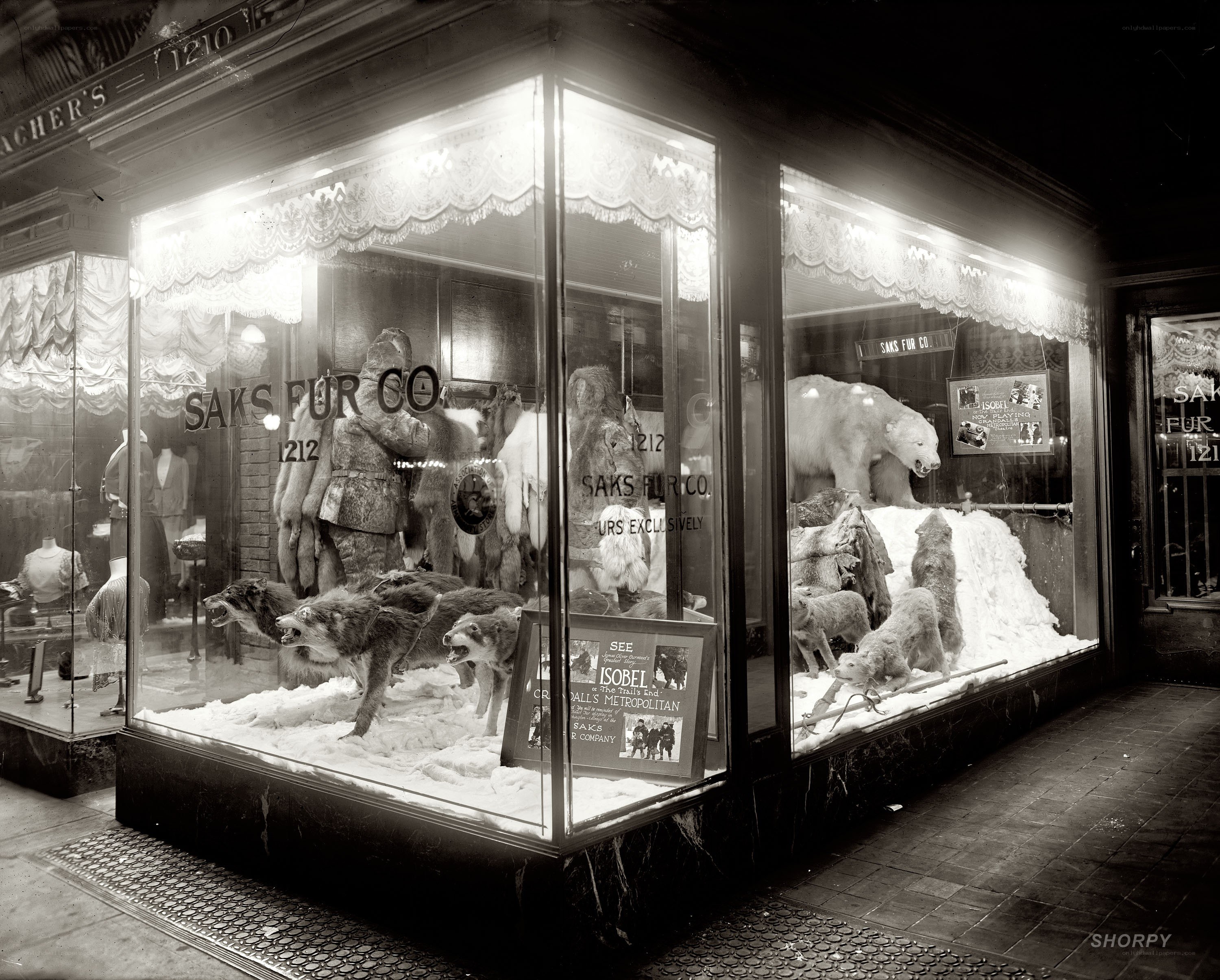 Saks Fur Co. window display