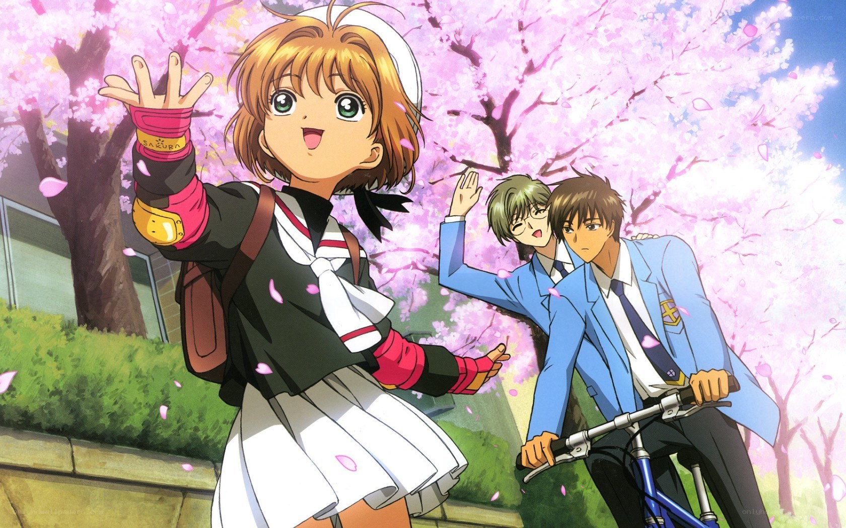 Sakura and friends in spring