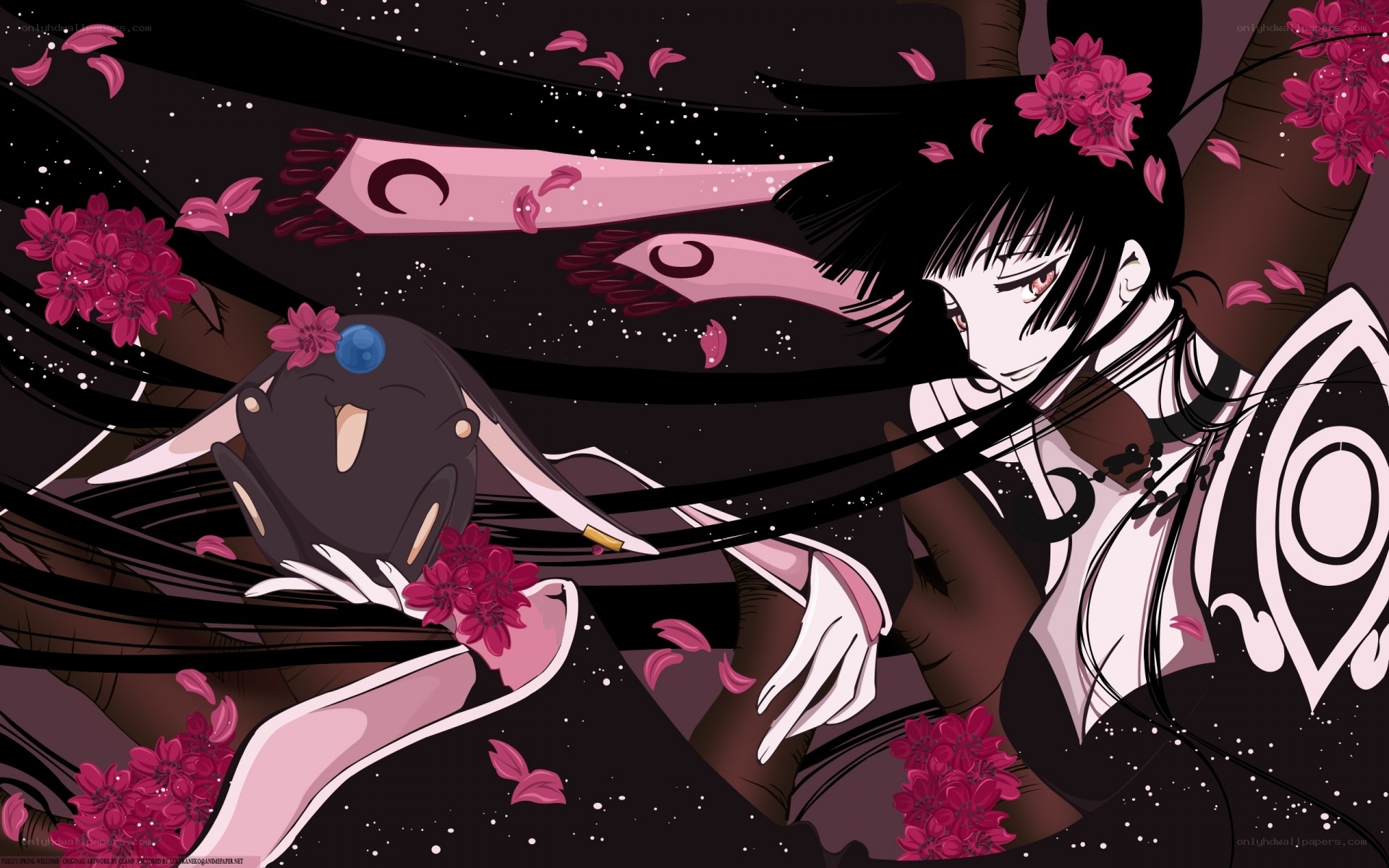 Sakura and the dark figure