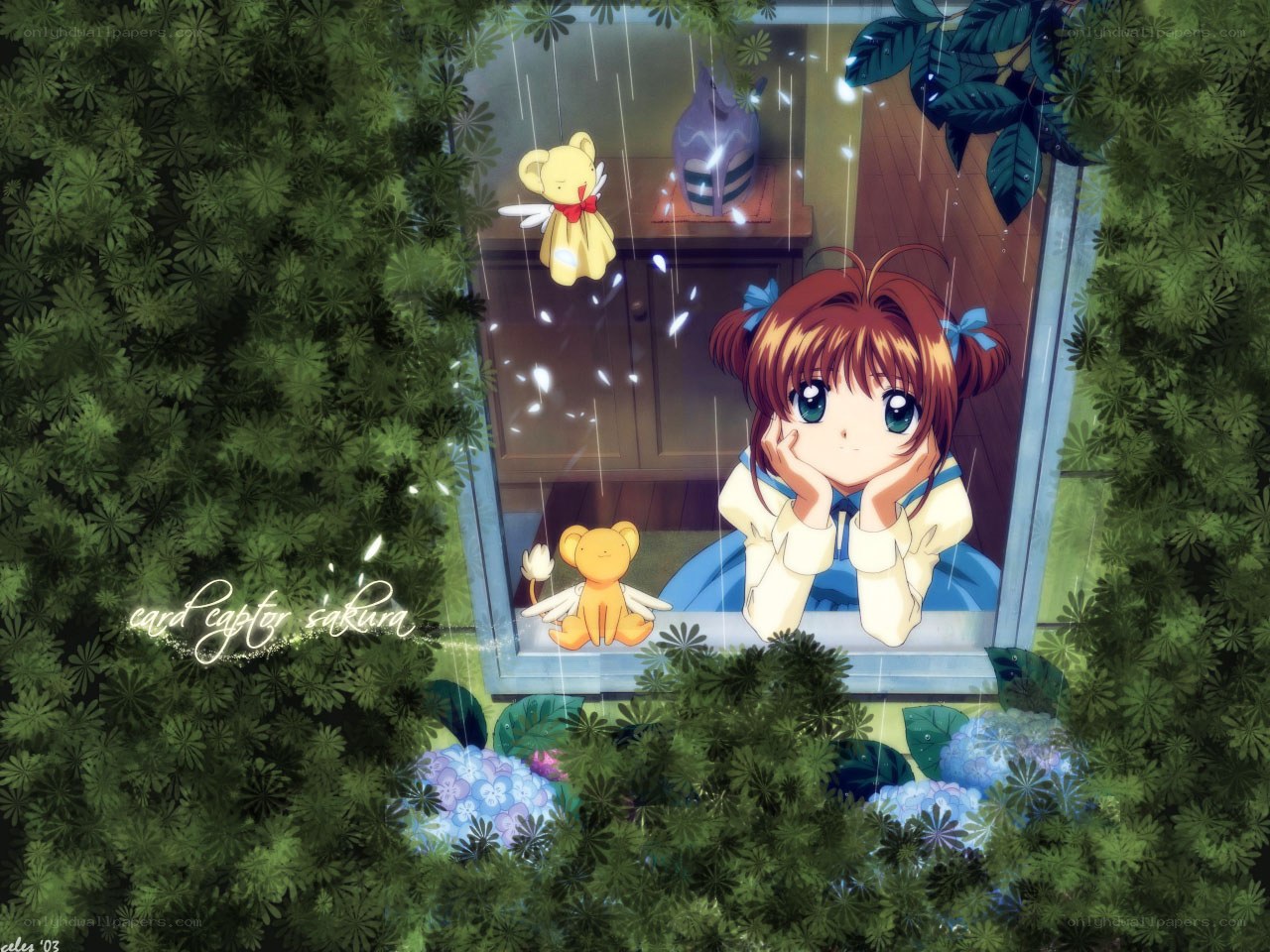 Sakura at the window