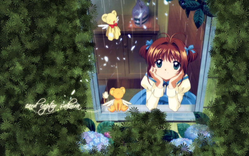 Sakura at the window