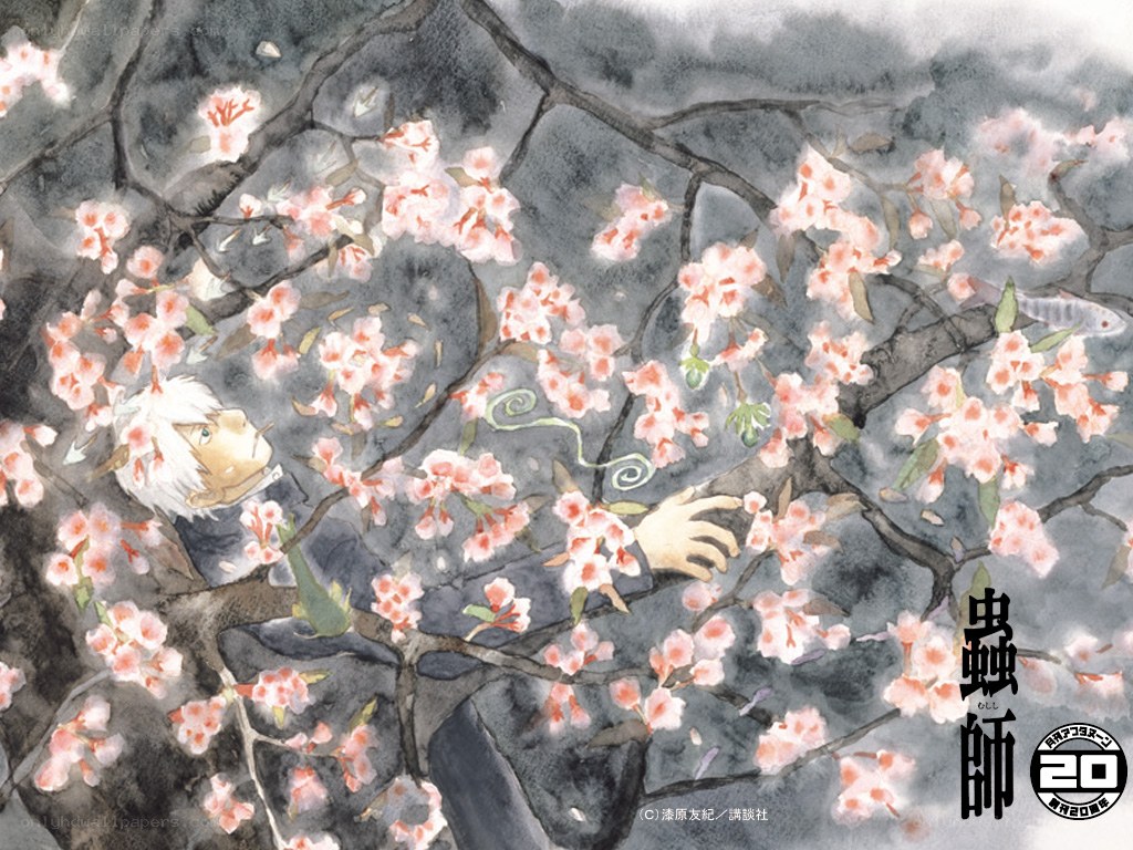 Sakura blossoms and a young boy