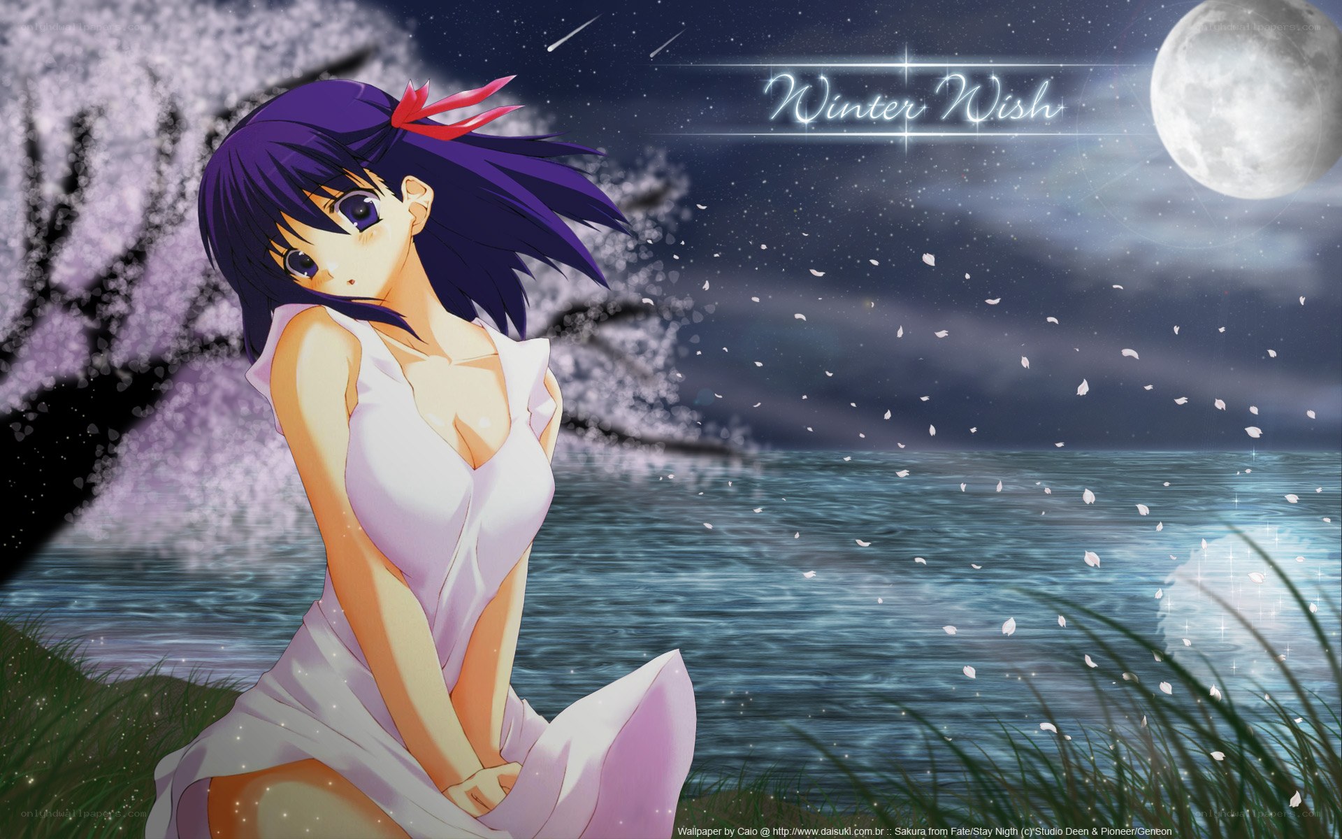 Sakura by Moonlight