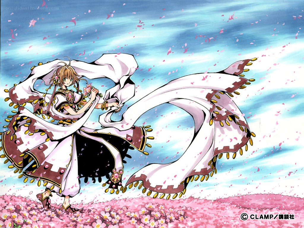 sakura dance in the wind