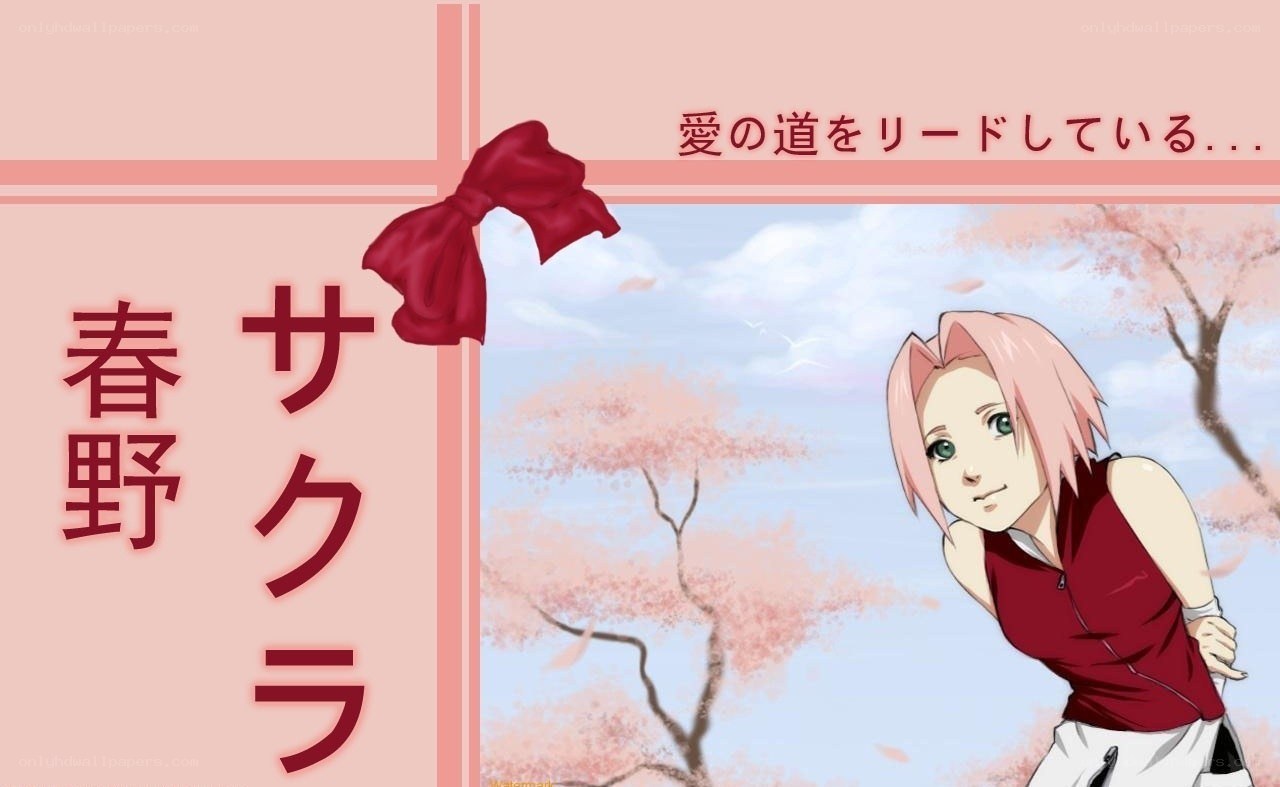 Sakura Haruno character art