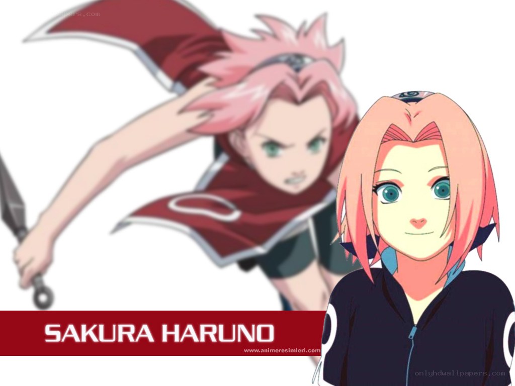 Sakura Haruno character art