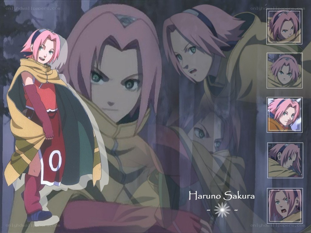 Sakura Haruno character art
