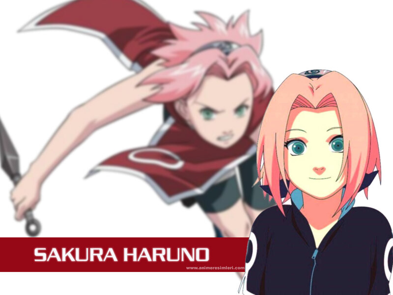 Sakura Haruno Character — Pink, Dynamic, Anime