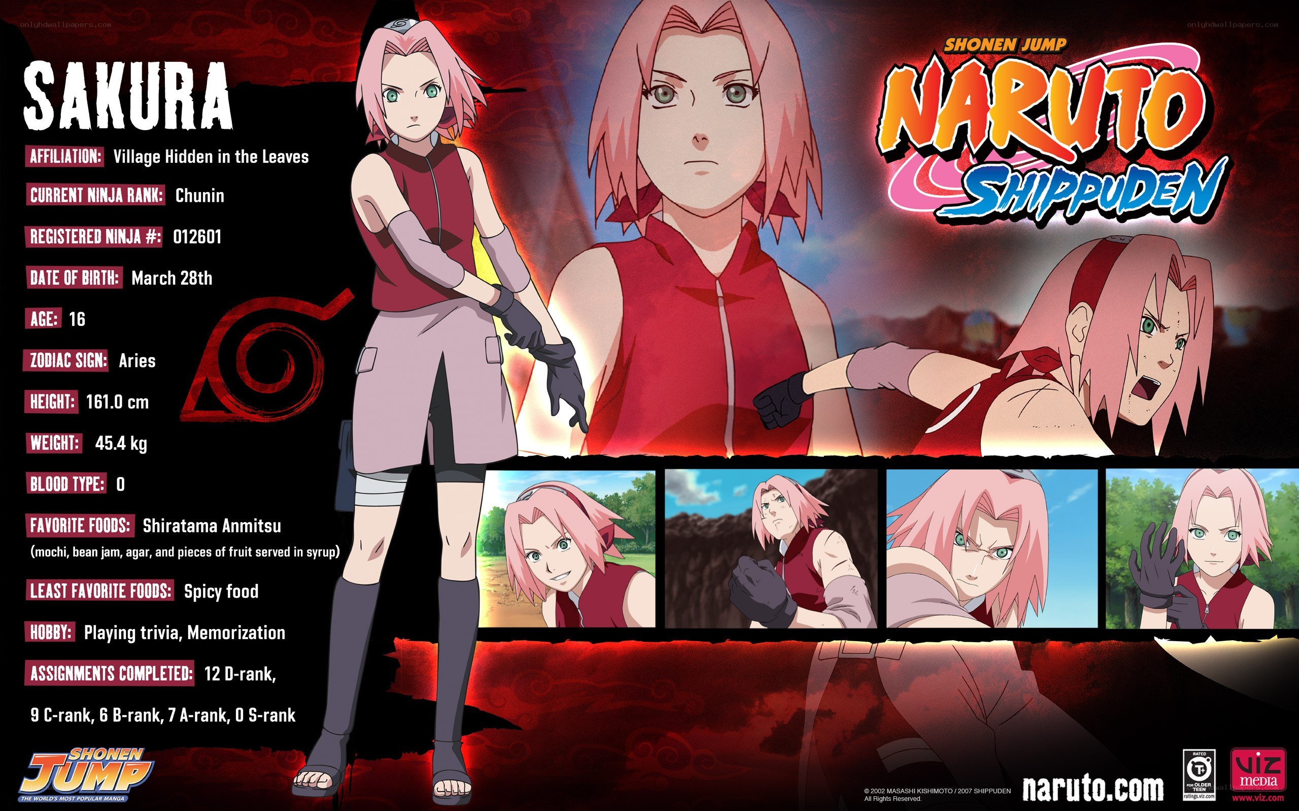 Sakura Haruno character profile
