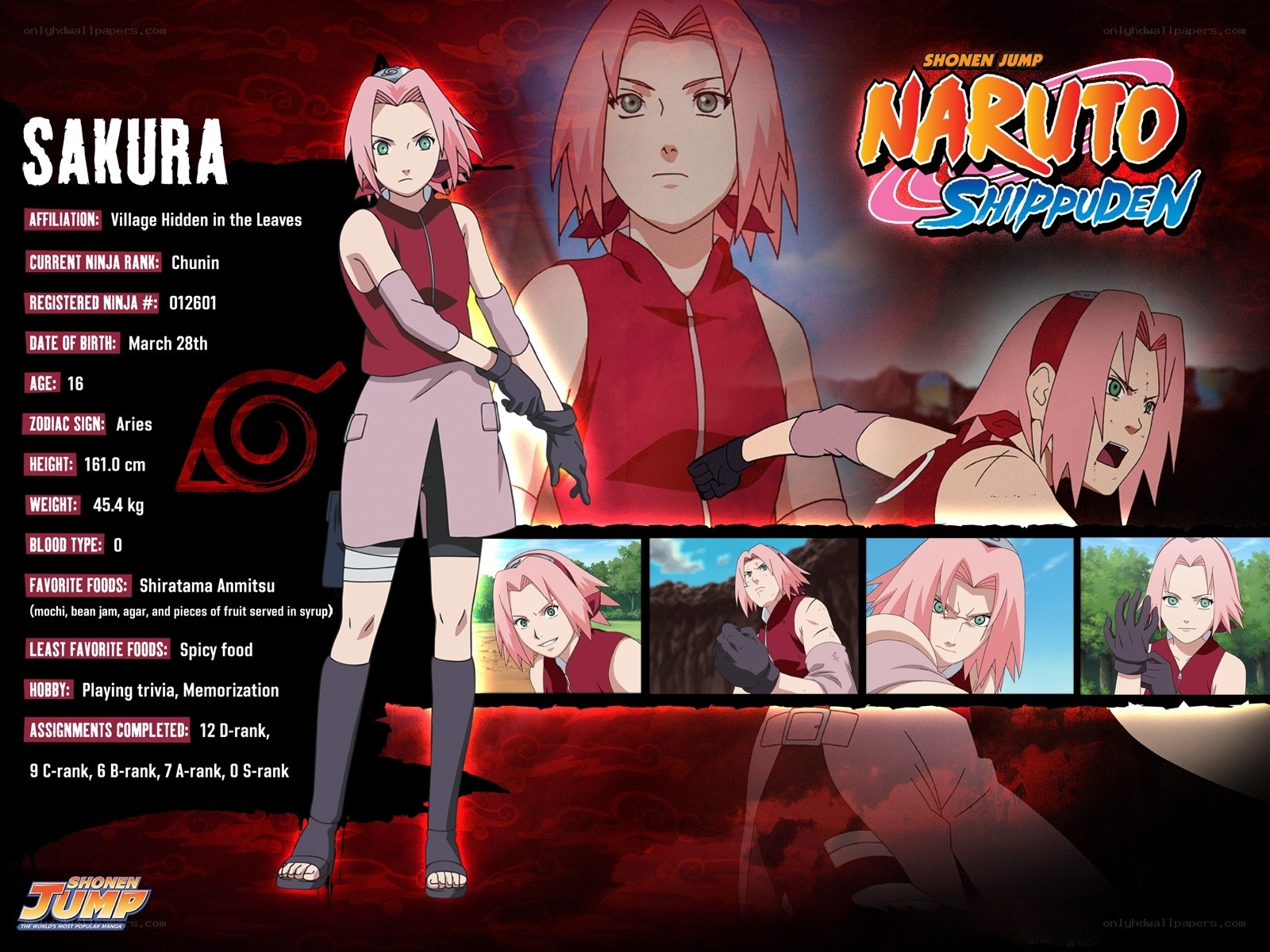 Sakura Haruno character profile