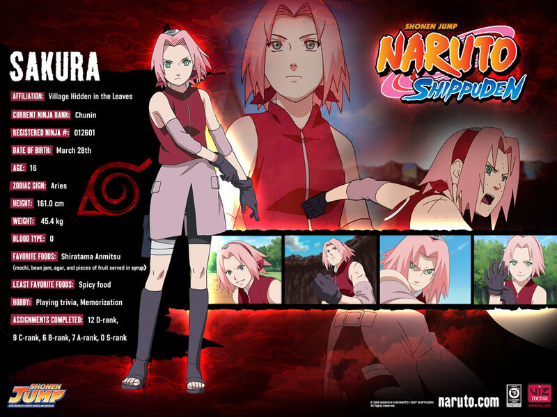 Sakura Haruno Character — Red, Dramatic, Anime, Character Profile, Anime Art, Text Box