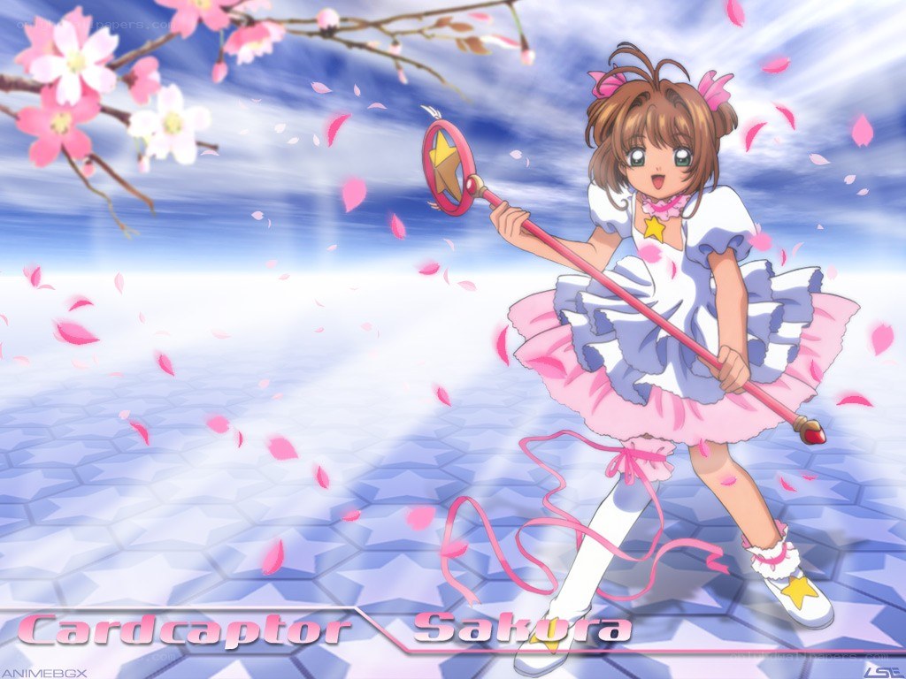 Sakura in a cherry blossom field