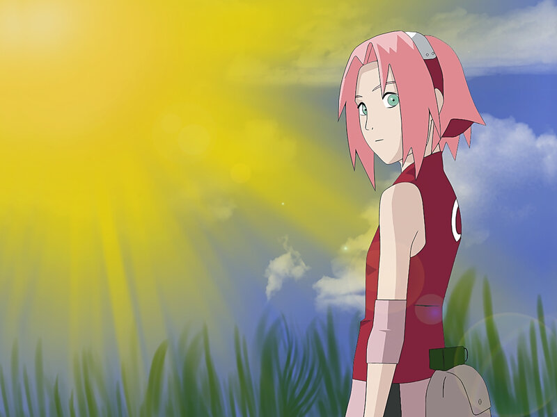 Sakura in a field