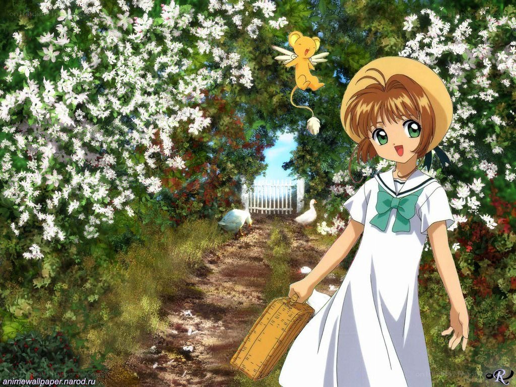 Sakura in a flower garden