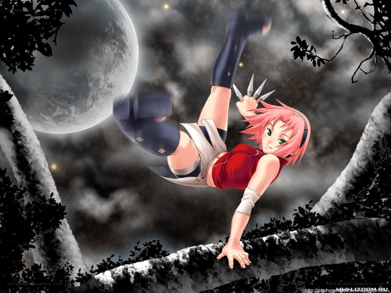 Sakura in a moonlit forest