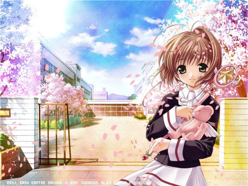 Sakura in a school courtyard