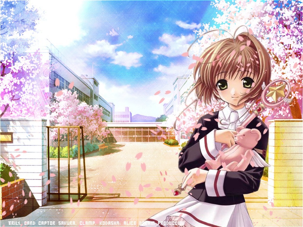Sakura in a school courtyard