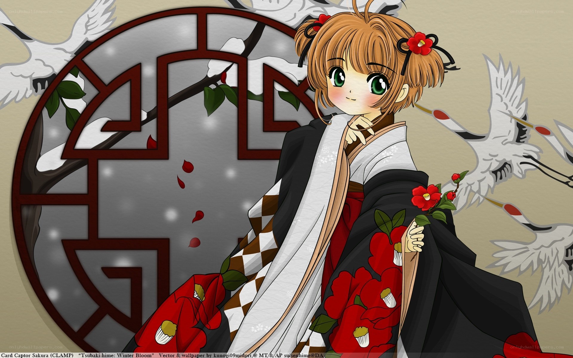 Sakura in a winter kimono