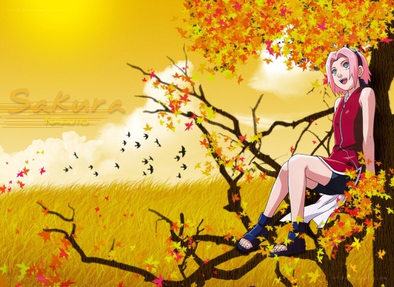 Sakura in autumn