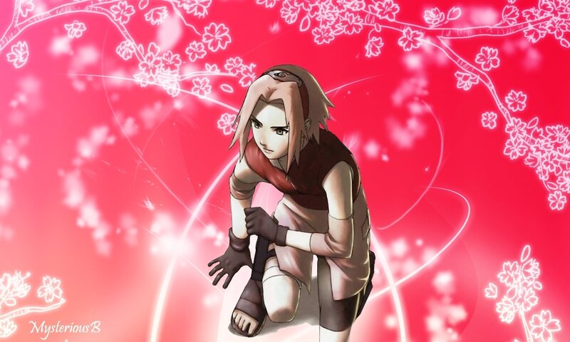 Sakura in cherry blossoms