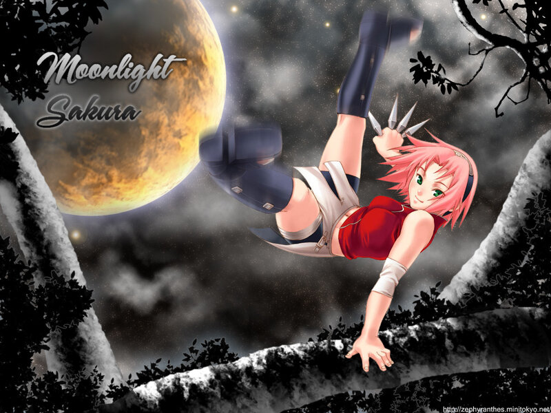 Sakura in Moonlight