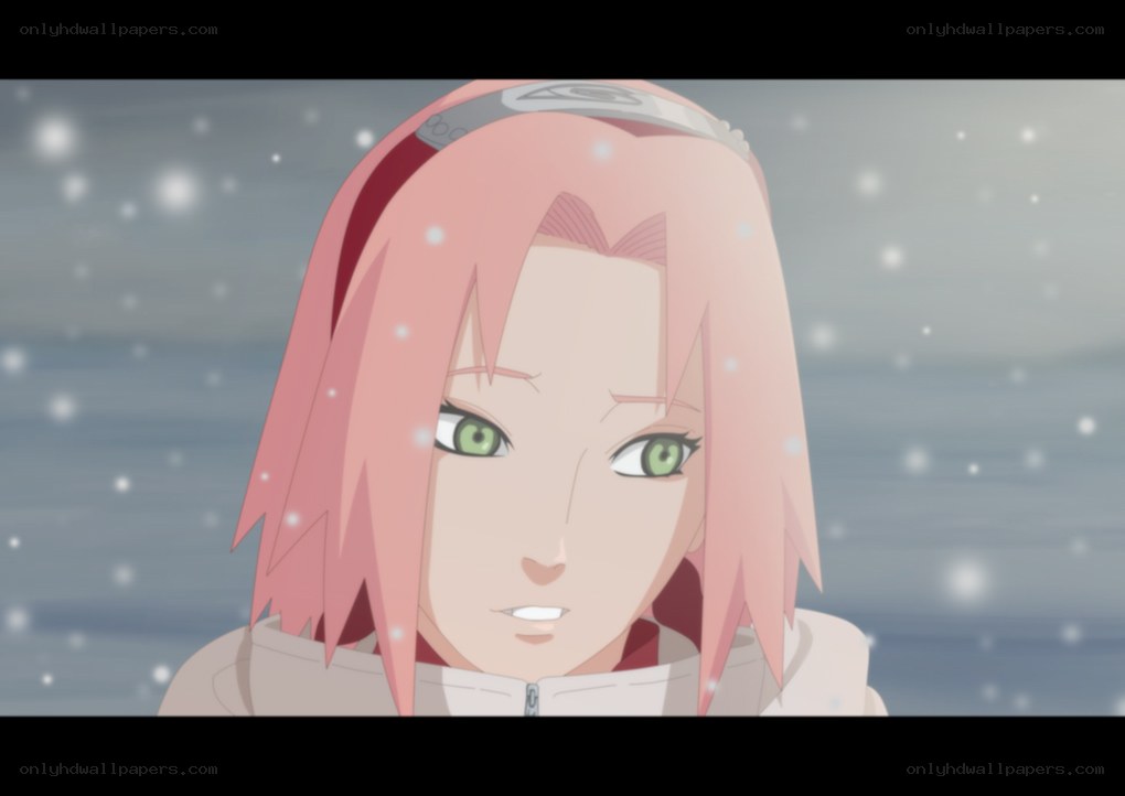 Sakura in the snow