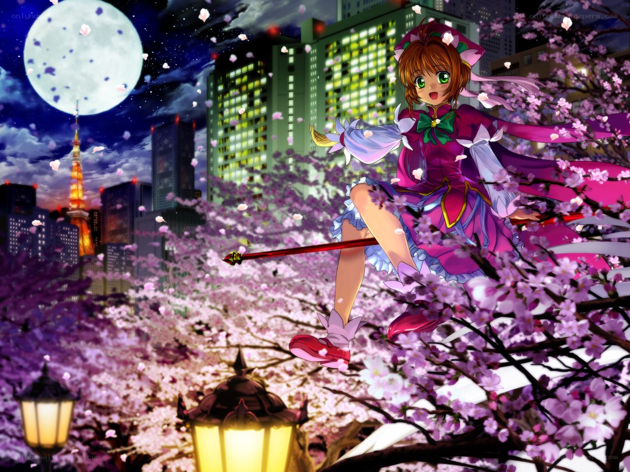 Sakura magic in the city