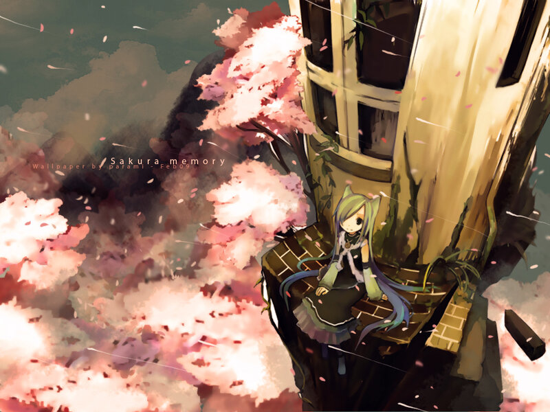 Sakura memory artwork