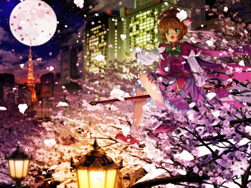 Sakura night in Tokyo