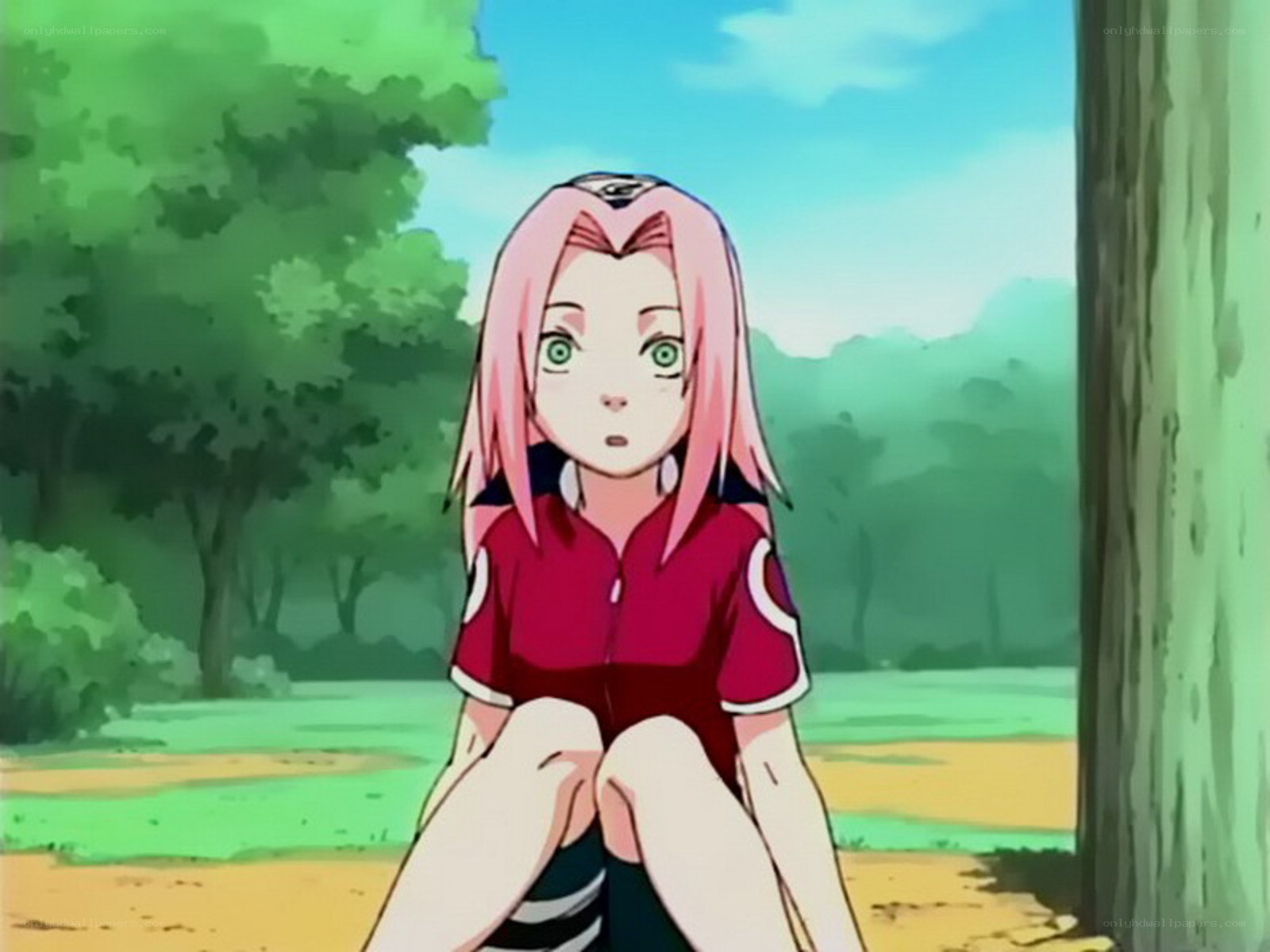 Sakura sitting in a park