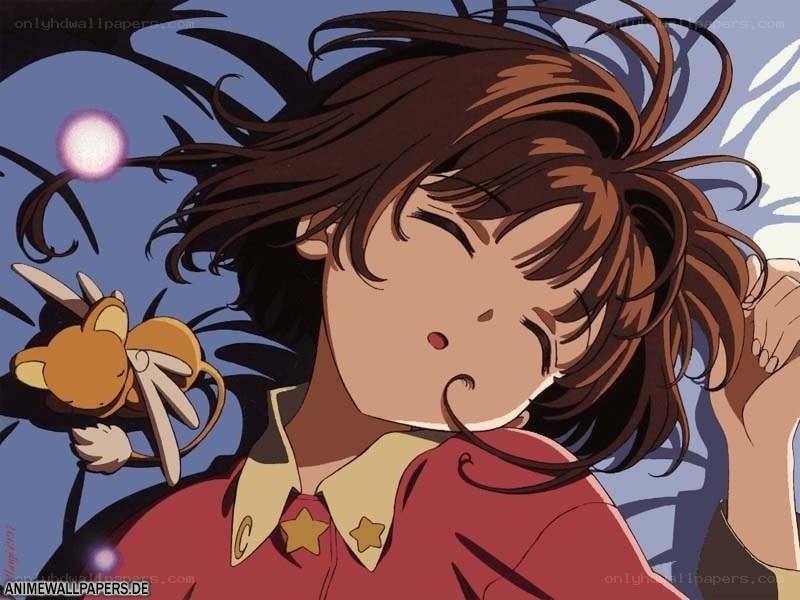 sakura sleeping peacefully