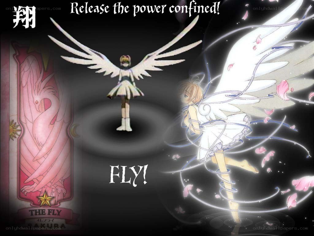 Sakura transforms into The Fly