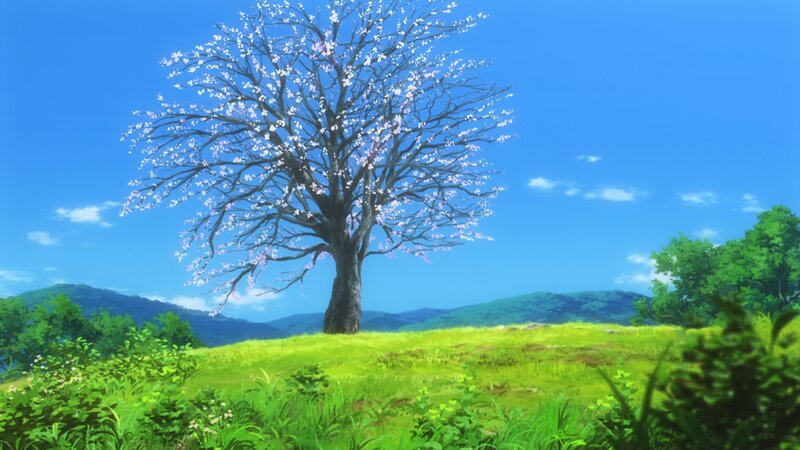 Sakura Tree in Field — Blue, Serene