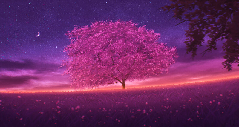 Sakura Tree in Field — Purple