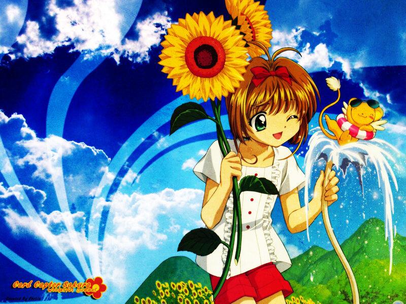 Sakura with sunflowers