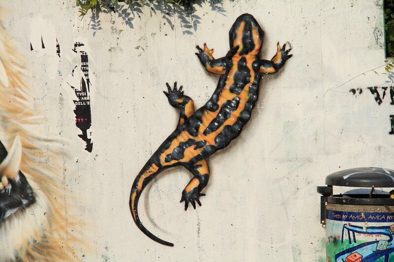 Salamander mural on a wall