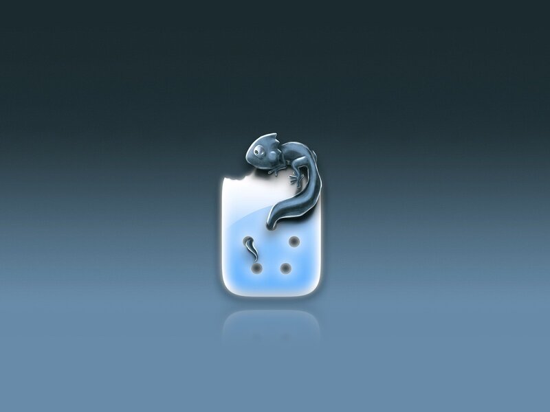 salamander on a blue icon