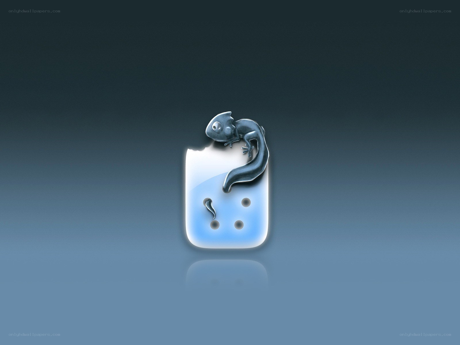 salamander on a blue icon