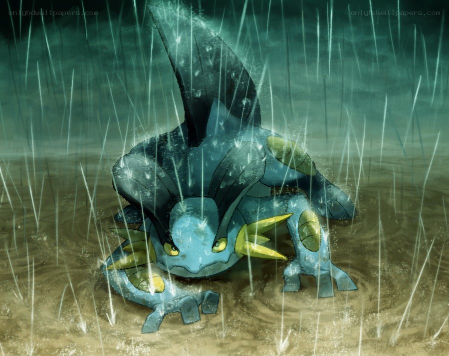 Salamence in the rain