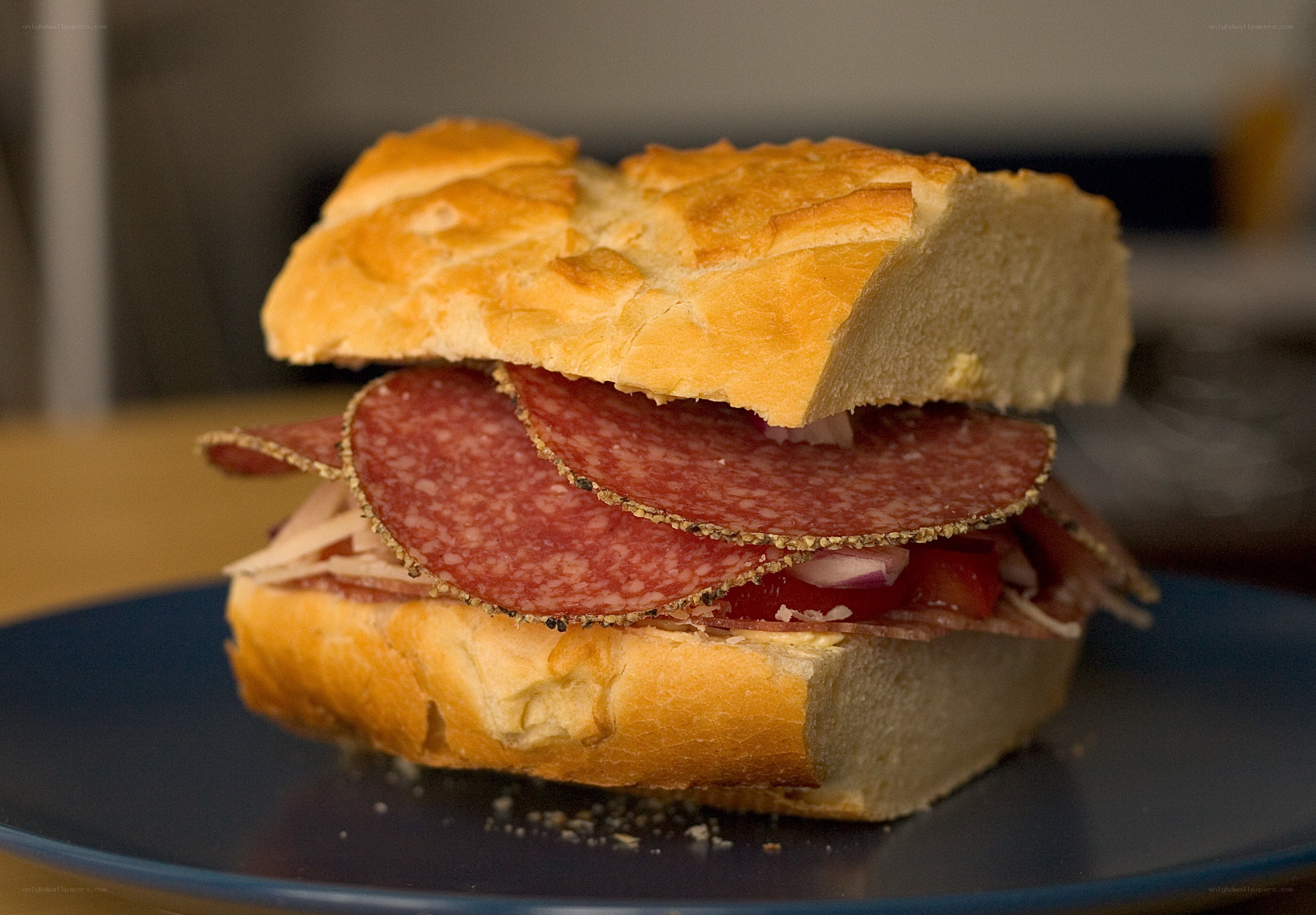 Salami sandwich on a plate