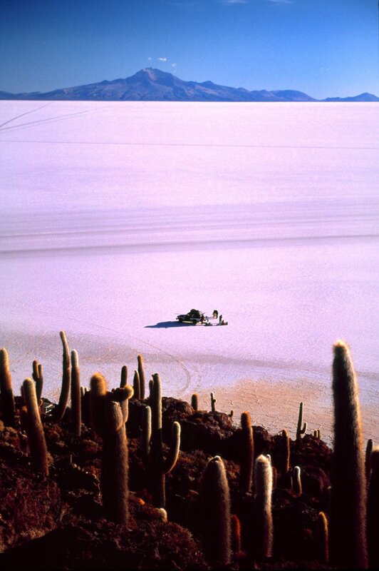 Salar de Uyuni with cacti
