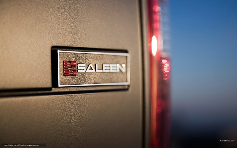 Saleen car badge close-up