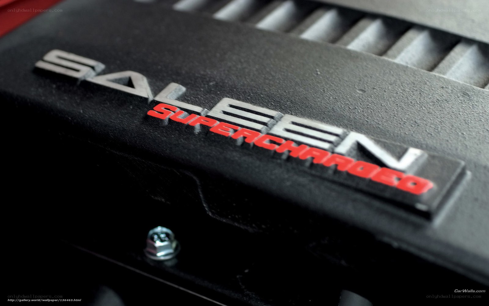 Saleen Supercharged engine cover